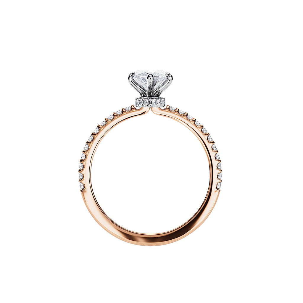 Sho